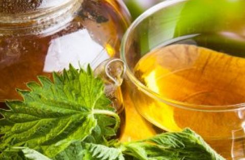 depositphotos_44550105-stock-photo-nettle-tea.jpg