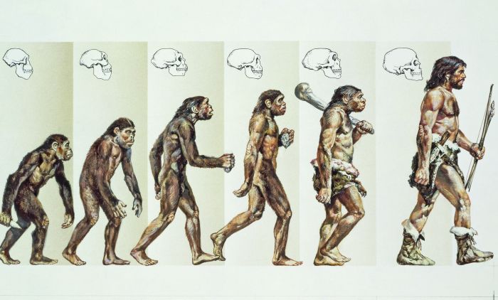 GettyImages-DEAPictureLibrary_EvolutionOfMan-122223741.jpg