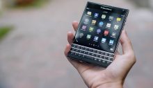 blackberries-1377071_960_720.jpg