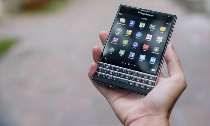 blackberries-1377071_960_720.jpg