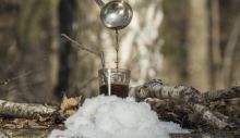 depositphotos_302829970-stock-photo-pouring-syrup-birch-sap-glass.jpg