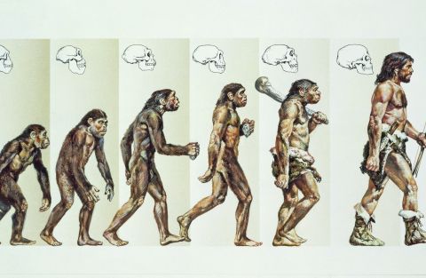 GettyImages-DEAPictureLibrary_EvolutionOfMan-122223741.jpg