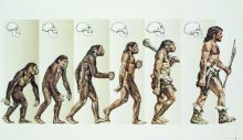 GettyImages-DEAPictureLibrary_EvolutionOfMan-122223741.jpg